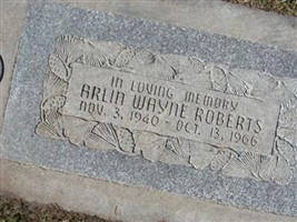 Arlin Wayne Roberts Arlin Wayne Roberts