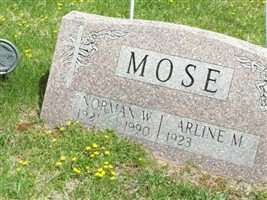 Arline M. Schmiege Mose