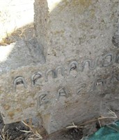 Armando Bazan
