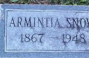 Arminta Cary Snow