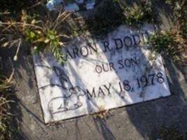 Aron R Dodd