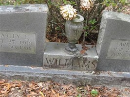 Arrie E Hines Williams Arrie E Hines Williams