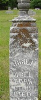 Arrie M Abel