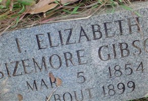 Arry Elizabeth Sizemore Gibson