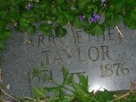 Arry Ethel Taylor (2147875.jpg)