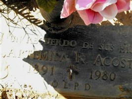 Artemisa R Acosta
