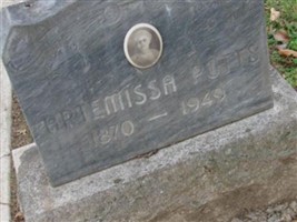 Artemissa Potts