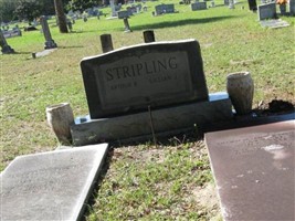 Arthur B Stripling Arthur B Stripling