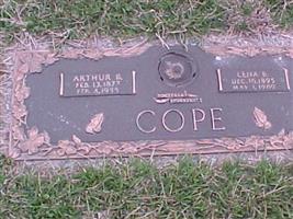 Arthur Burt Cope