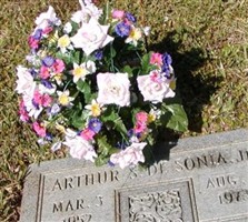 Arthur S De Sonia, Jr Arthur S De Sonia, Jr
