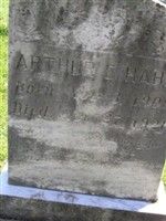 Arthur E Hahn