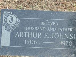 Arthur E Johnson