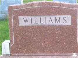 Arthur E. Williams