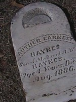 Arthur Earnest Haynes Arthur Earnest Haynes