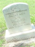 Arthur Lane King