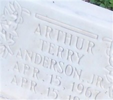 Arthur Terry Anderson, Jr Arthur Terry Anderson, Jr