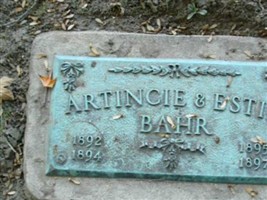 Artincie Bahr Artincie Bahr