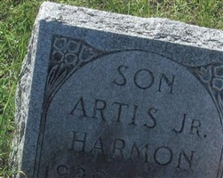 Artis Harmon, Jr Artis Harmon, Jr
