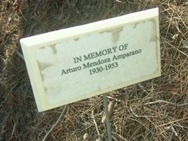 Arturo Mendoza Amparano