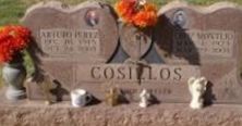 Arturo Perez Cosillos