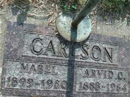 Arvid O Carlson