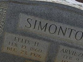 Arviezena Elkins Simonton Arviezena Elkins Simonton