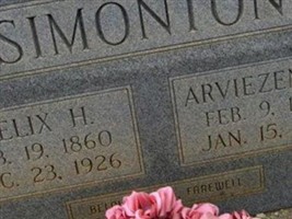 Arviezena Elkins Simonton Arviezena Elkins Simonton