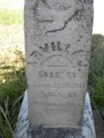 Arvilla J. Rowe
