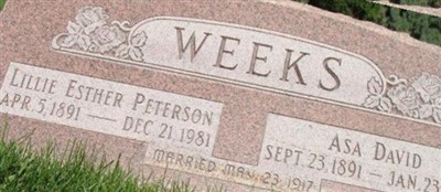 Asa David Weeks Asa David Weeks