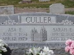 Asa Elbert Culler