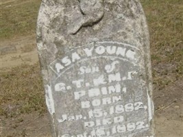 Asa Young Prim