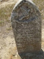 Asa Young Prim