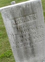 Asanath Hatch Brewer Asanath Hatch Brewer