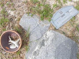 A.S.E. George "Did" Grainger