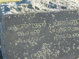 Asenath C Allyn