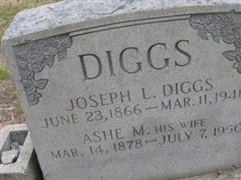 Ashe M Diggs