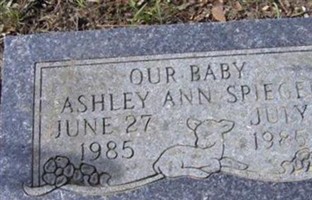 Ashley Ann Spiegel Ashley Ann Spiegel