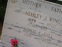Ashley John Wing Ashley John Wing