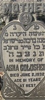 Asna Goldshein Taub