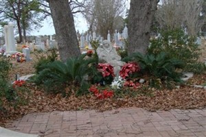Assumption of the Blessed Virgin Mary Cemetery Assumption of the Blessed Virgin Mary Cemetery