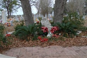 Assumption of the Blessed Virgin Mary Cemetery