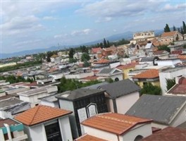 Assunta Riccio Zacchia Assunta Riccio Zacchia