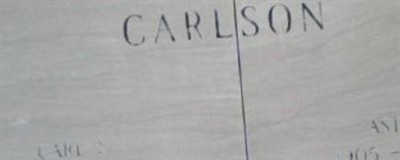 Astrid W. Carlson Astrid W. Carlson