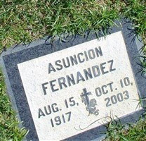 Asuncion Fernandez Asuncion Fernandez