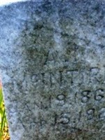 A T? McIntire