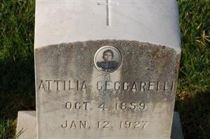 Attilia Ceccarelli