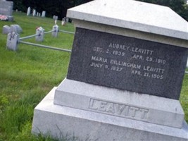 Aubrey Leavitt