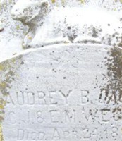 Audrey Blanche Weger