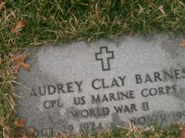 Audrey Clay Barnes (2383219.jpg)