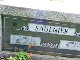 Audrey E Saulnier Audrey E Saulnier